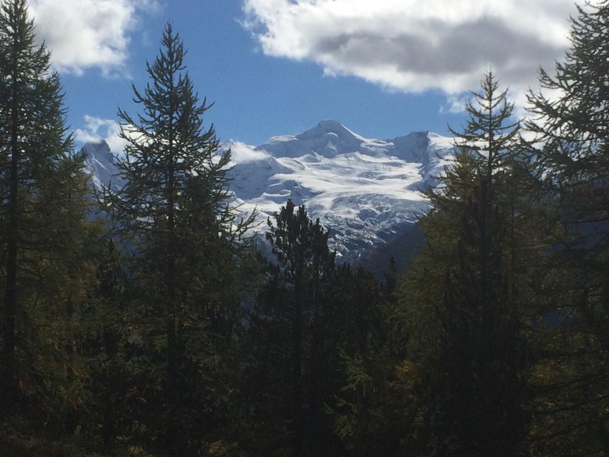 Ferienhaus Alea Saas-Grund Kültér fotó