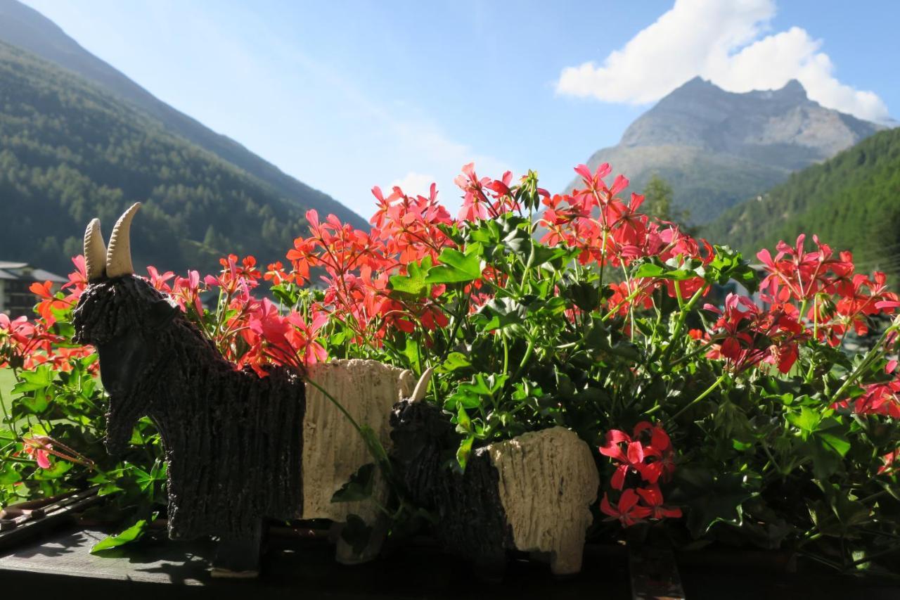 Ferienhaus Alea Saas-Grund Kültér fotó
